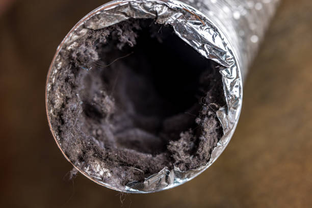 Best Commercial Air Duct Cleaning  in Hickory, NC